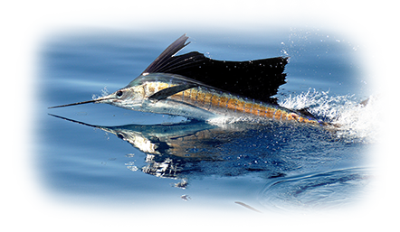 World Class Sport Fishing